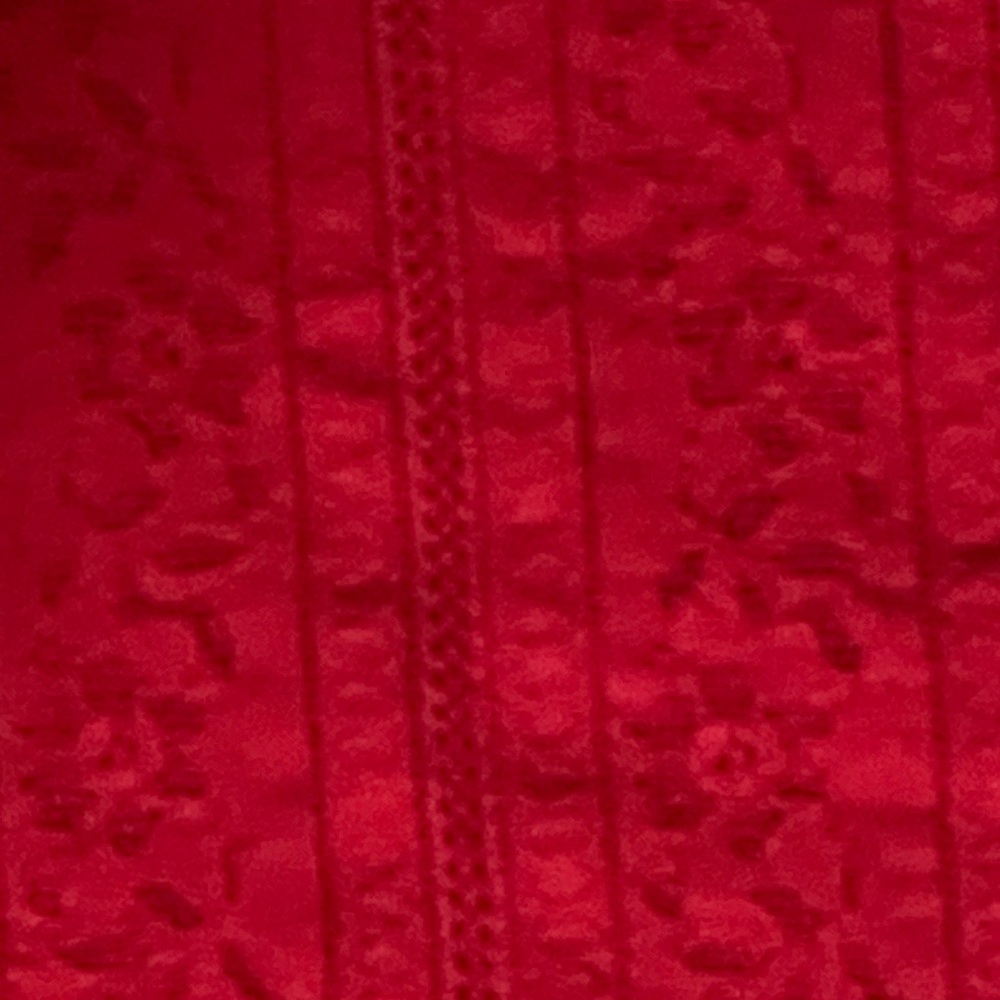 Red lace tank top. - Picture 11 of 12